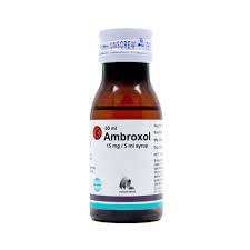Ambroxol Sirup 60ml 15mg/5ml (per Botol)