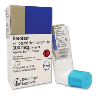Berotec 100mcg/puff Aerosol 10ml (per Pcs)